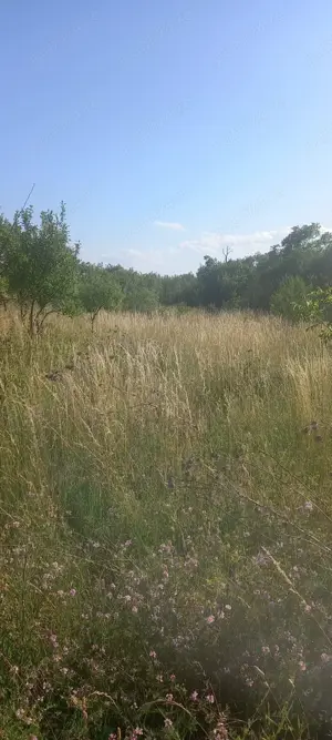 Teren intravilan de vanzare