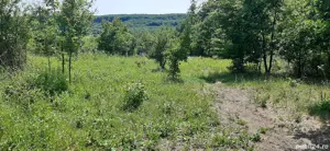 Teren intravilan de vanzare in loc.Betfia.