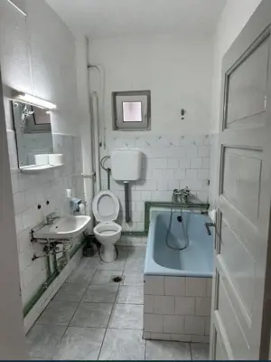 BRASADAS vinde PARTERUL unei case in zona Botizului. - imagine 6