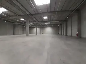 Bd. Th. Pallady - 3400mp si 800mp - ISU - comision 0