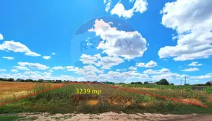 Teren Focsanei / DN sat Focsanei Vadu Pasii - imagine 2