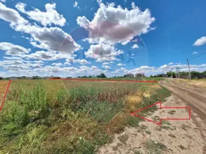 Teren Focsanei / DN sat Focsanei Vadu Pasii