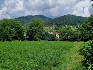 Teren intravilan 1000 mp – Viișoara, utilități