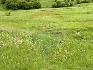 Teren 20,876mp Breb / Drumul Principal - imagine 4