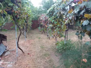 BRASADAS vinde casa 3 cam. zona Unirii teren 550mp. - imagine 6 BRASADAS vinde casa 3 cam. zona Unirii teren 550mp. - imagine 6