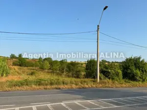 Teren extravilan arabil 9.573 mp in Loc. Santuhalm, pe drumul spre Hunedoara... - imagine 4