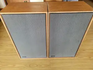 Boxe rare vintage compresie Wigo acoustic WB 70