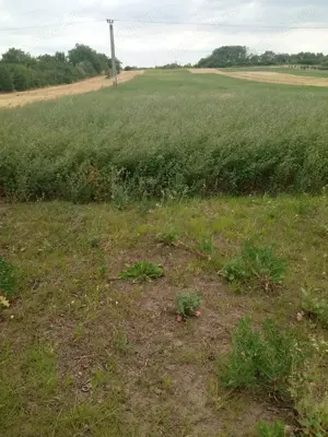 Vând casă plus teren - imagine 2