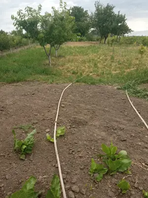 Vând casă plus teren - imagine 3