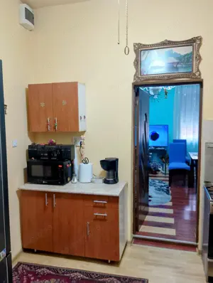 CI574 Traian-Timocului,Casa 2 camere - imagine 11