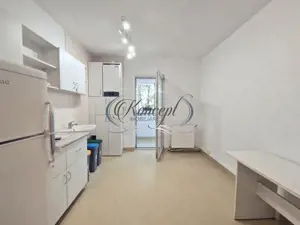 Locuinta spatioasa in Zorilor, renovata recent, aproape de Piata Zorilor  - imagine 7