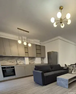 proprietar 2 cam zona Torontalului Vox