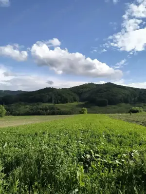 Vând teren intravilan  în satul Valea-Anei din comuna Starchiojd 