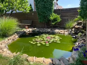 Casa cartier Tabacovici