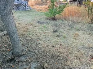 Vand teren extravilan pe malul lacului Tasaul 1500 metri patrati -30-50 deschidere, 200 euro metru 