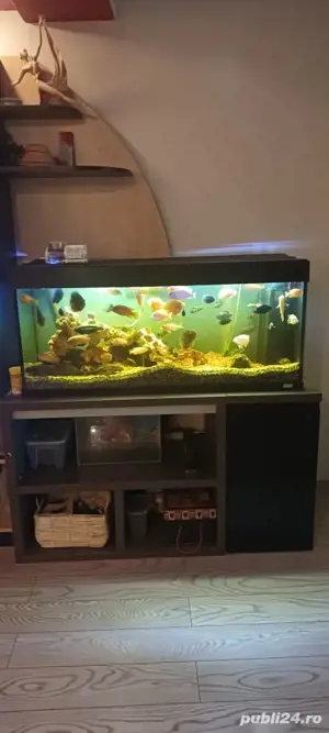 acvariu Juwel  - imagine 2 acvariu Juwel  - imagine 2