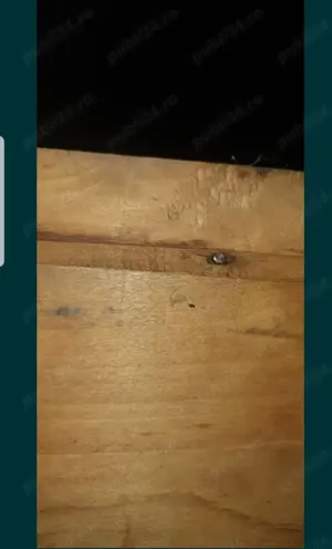 Tavă veche din lemn  - imagine 2