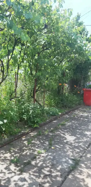 Casa zona centrala Rm Valcea - imagine 3