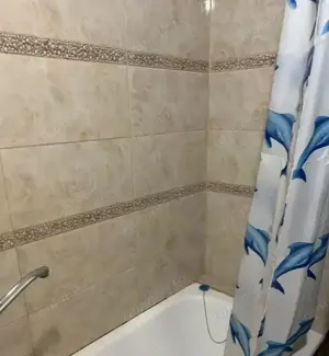 Apartament cu o camera de inchiriat in zona Lipovei - imagine 4 Apartament cu o camera de inchiriat in zona Lipovei - imagine 4