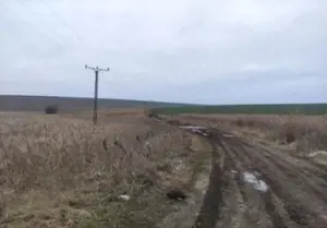 Teren extravilan cota parte 1/3, Rediu, ID: R2642185