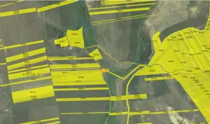 Teren extravilan cota parte 1/3, Rediu, ID: R2642185 - imagine 4 Teren extravilan cota parte 1/3, Rediu, ID: R2642185 - imagine 4