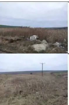 Teren extravilan cota parte 1/3, Rediu, ID: R2642185 - imagine 3 Teren extravilan cota parte 1/3, Rediu, ID: R2642185 - imagine 3