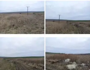 Teren extravilan cota parte 1/3, Rediu, ID: R2642185 - imagine 6 Teren extravilan cota parte 1/3, Rediu, ID: R2642185 - imagine 6