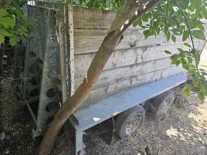 Vand remorca pe 2 axe williams, 3000e