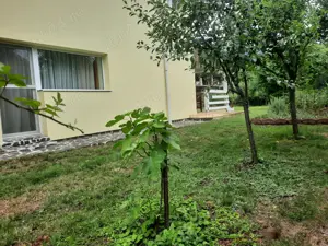 Casa finisată  , mobilată și utilată  , strada Victoriei  - imagine 2