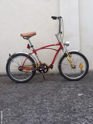 Bicicletă Pegas modernizată