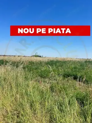 Teren intravilan 8.973 mp Loc. Albota -RESTAURANT LUXOR Arges