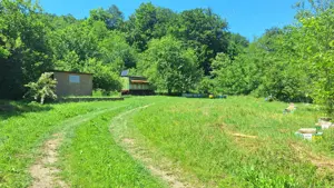 Grădină pe Valea Bârzăvii