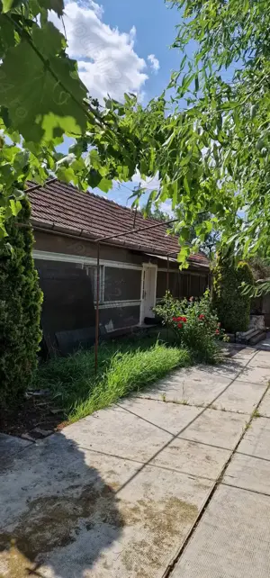 Casa si teren ideal pentru legumicultura - imagine 2