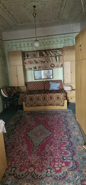 Casa si teren ideal pentru legumicultura - imagine 6