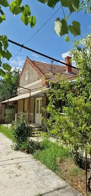 Casa si teren ideal pentru legumicultura - imagine 9