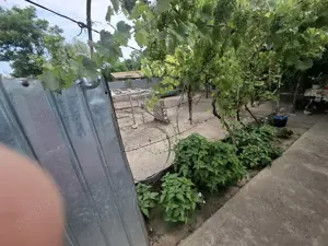 Casa de vânzare Maxineni Braila strada principala nr. 36 - imagine 4