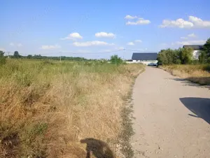 Vanzare teren 630mp  Pantelimon - Rascoalei - imagine 7