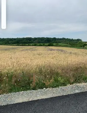 Vând teren intravilan Călugăreni giurgiu