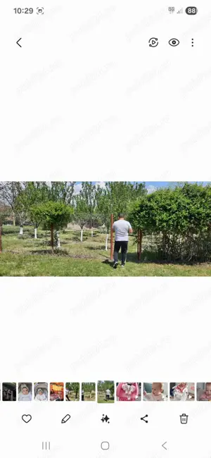 Teren de vânzare Valea Stanii, Comuna Luica - imagine 2