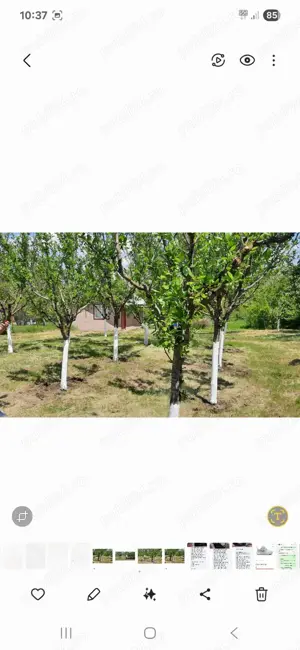 Teren de vânzare Valea Stanii, Comuna Luica