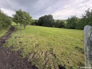 Teren de vanzare, 1295 mp , 70    mp  - imagine 6