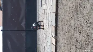 Căței de copoi ardelenesc  - imagine 3