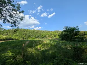 Teren Geoagiu 800mp intravilan - imagine 2