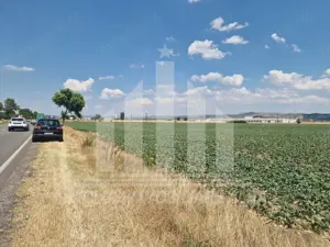 Teren agricol la sosea, pretabil si ptr constructii industriale - imagine 2 Teren agricol la sosea, pretabil si ptr constructii industriale - imagine 2