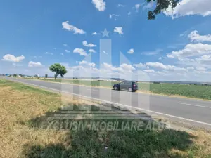 Teren agricol la sosea, pretabil si ptr constructii industriale - imagine 6 Teren agricol la sosea, pretabil si ptr constructii industriale - imagine 6