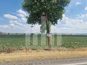 Teren agricol la sosea, pretabil si ptr constructii industriale - imagine 5 Teren agricol la sosea, pretabil si ptr constructii industriale - imagine 5