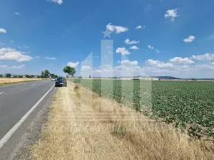 Teren agricol la sosea, pretabil si ptr constructii industriale - imagine 7 Teren agricol la sosea, pretabil si ptr constructii industriale - imagine 7