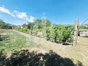 Casa cu gradina in Cricau - imagine 9