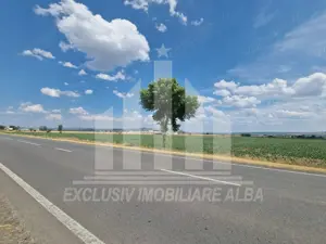 Teren agricol la sosea, pretabil si ptr constructii industriale - imagine 8 Teren agricol la sosea, pretabil si ptr constructii industriale - imagine 8
