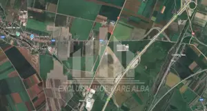 Teren agricol la sosea, pretabil si ptr constructii industriale - imagine 9 Teren agricol la sosea, pretabil si ptr constructii industriale - imagine 9